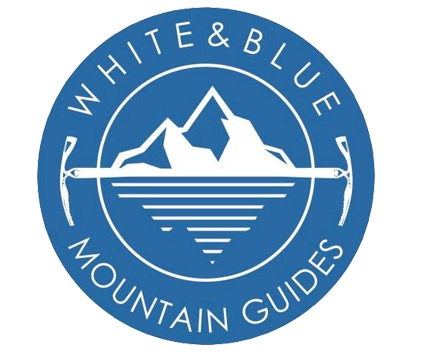 logo white and blue